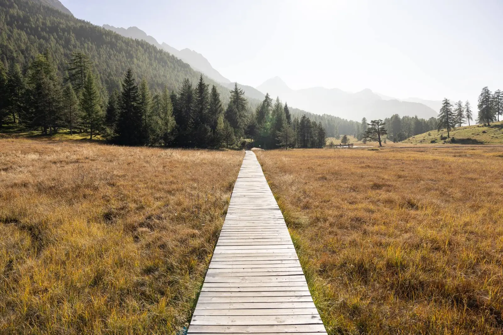 Holzsteg am Lai Nair bei Tarasp im Herbst